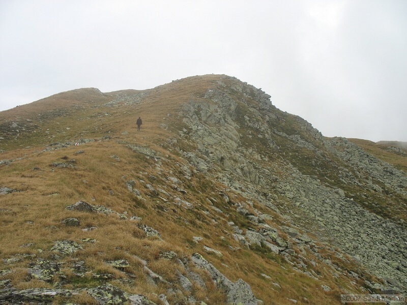 IMG_6610.jpg