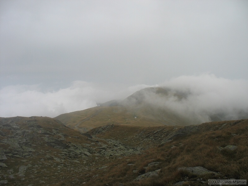 IMG_6612.jpg