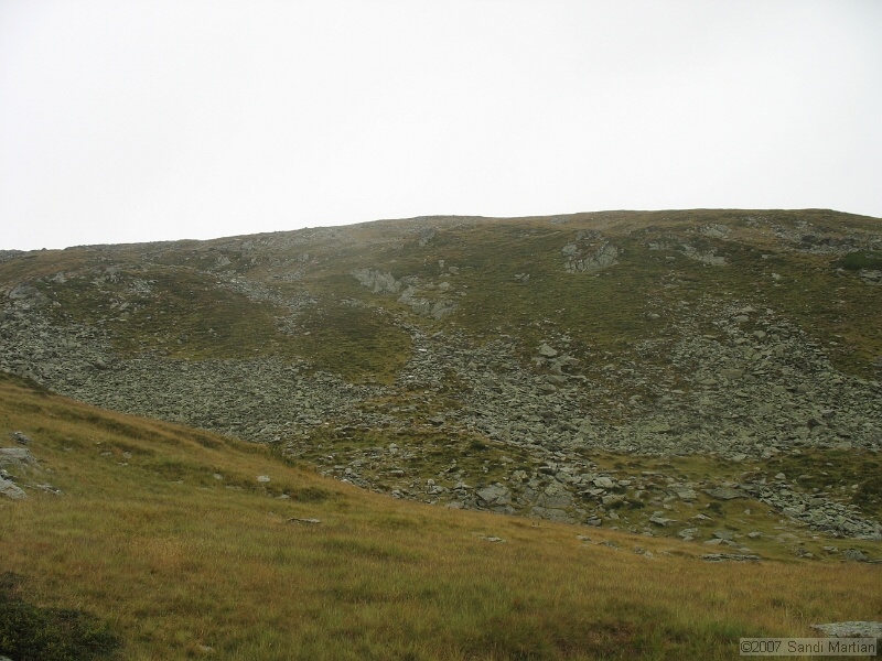 IMG_6615.jpg