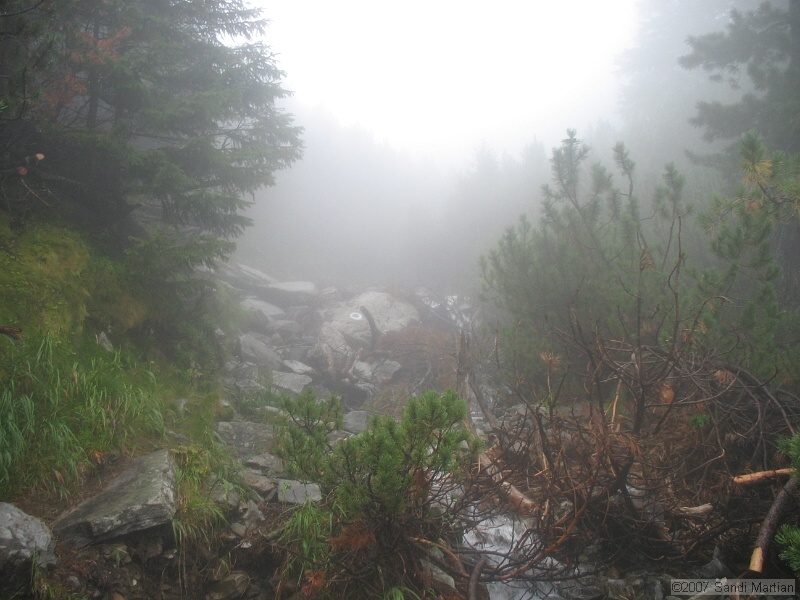 IMG_6620.jpg