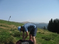 IMG_6536