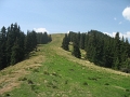 IMG_6540