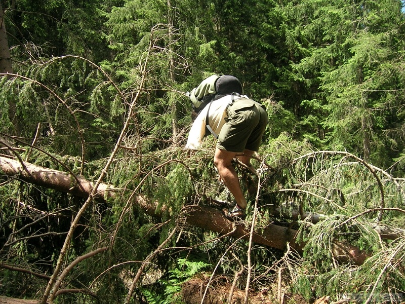DSCN9982.JPG