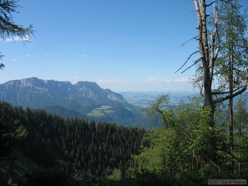 IMG_5619.JPG