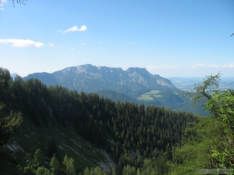 IMG_5622.JPG