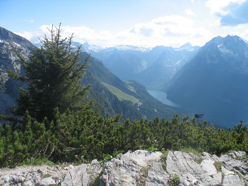 IMG_5648.JPG