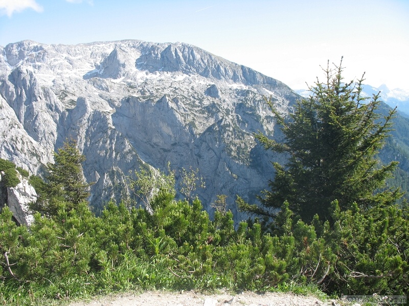 IMG_5651.JPG