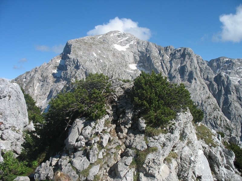 IMG_5663.JPG