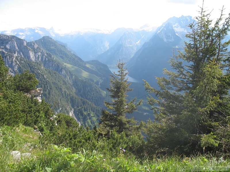 IMG_5679.JPG