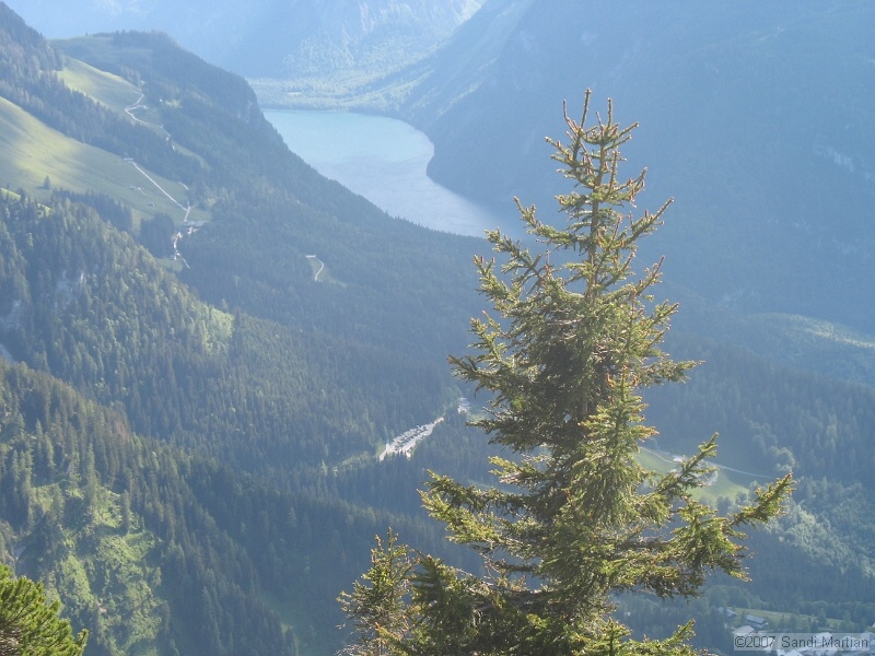 IMG_5680.JPG