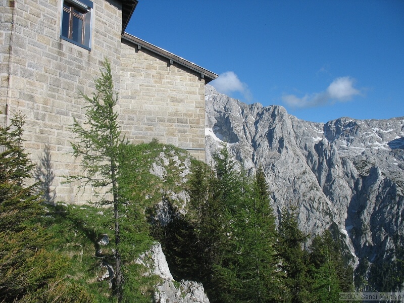 IMG_5695.JPG