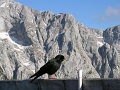 DSCN0013