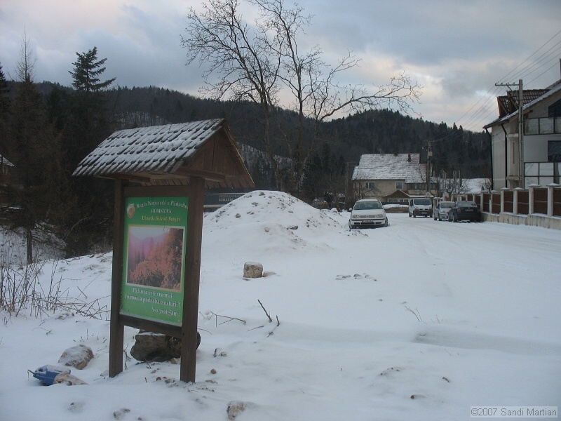 IMG_4194.JPG