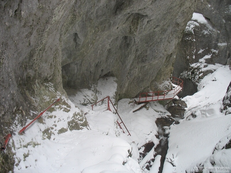 IMG_4241.JPG