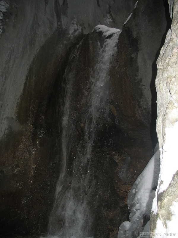 IMG_4261.JPG