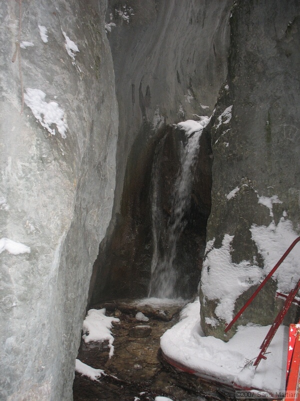 IMG_4264.JPG