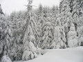 Piatra Mare - februarie 2007
