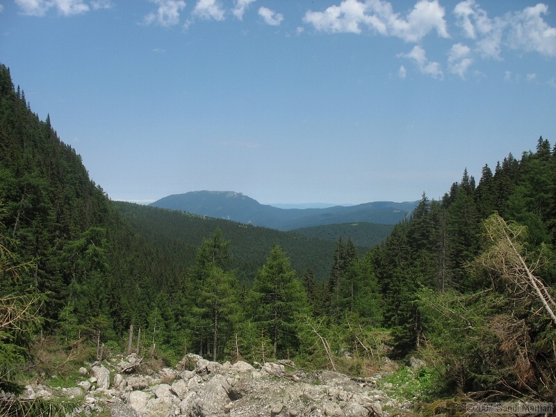 IMG_5802.JPG