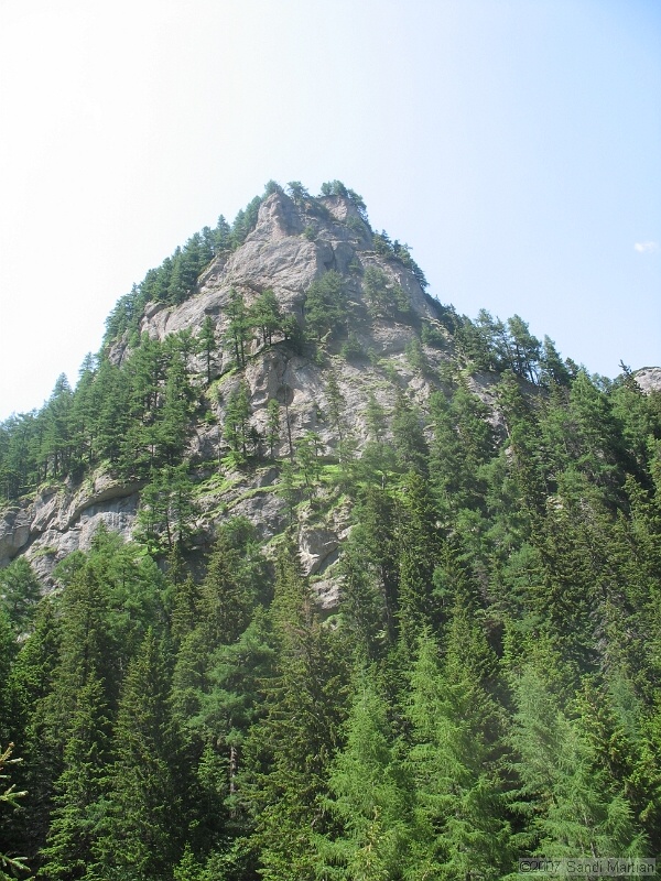 IMG_5804.JPG