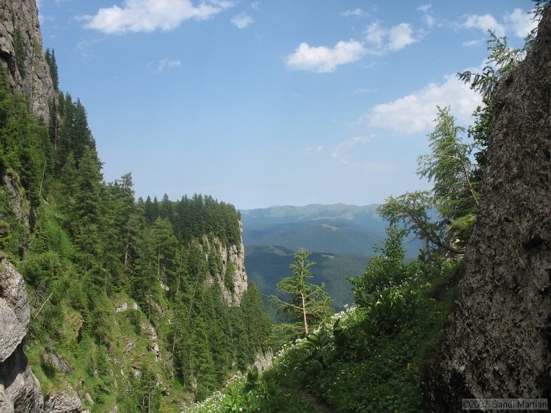 IMG_5808.JPG