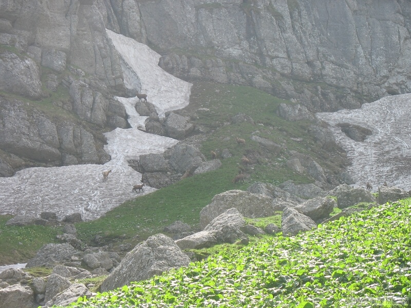 IMG_5824.JPG