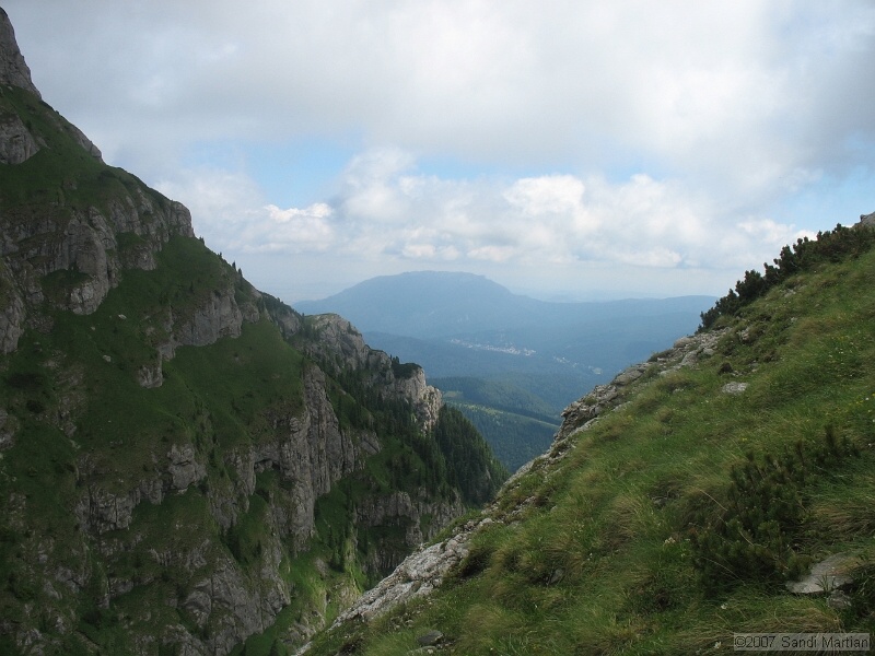 IMG_5864.JPG