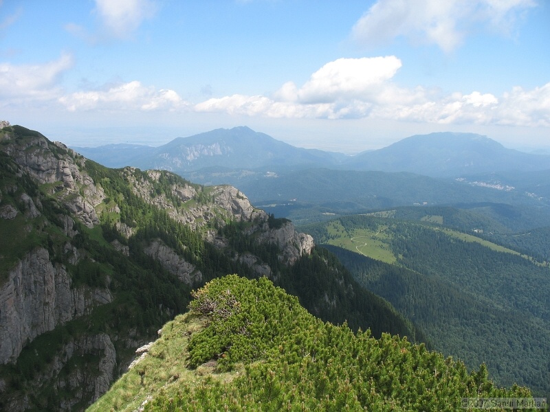 IMG_5867.JPG