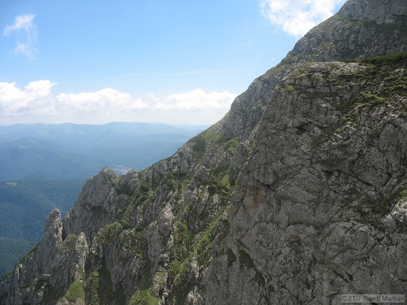 IMG_5868.JPG