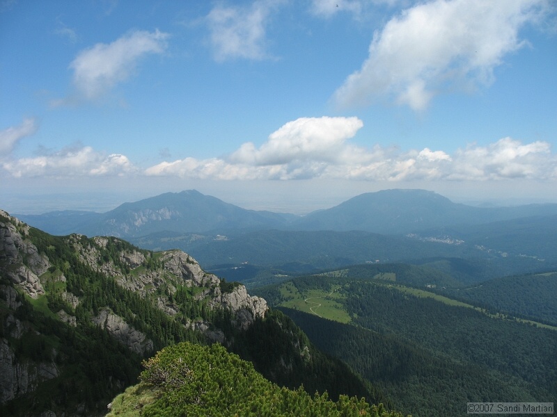 IMG_5869.JPG