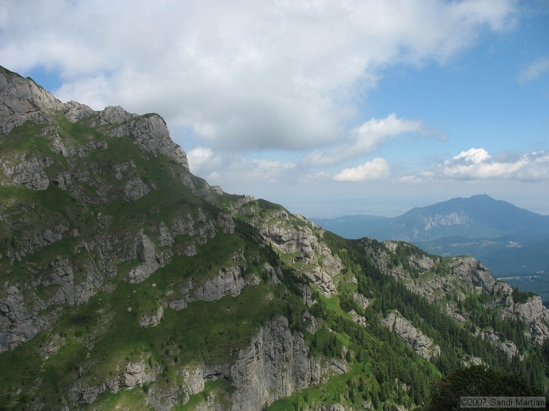 IMG_5873.JPG