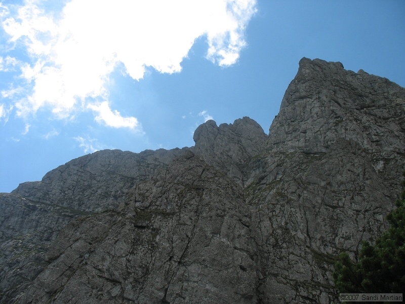 IMG_5875.JPG