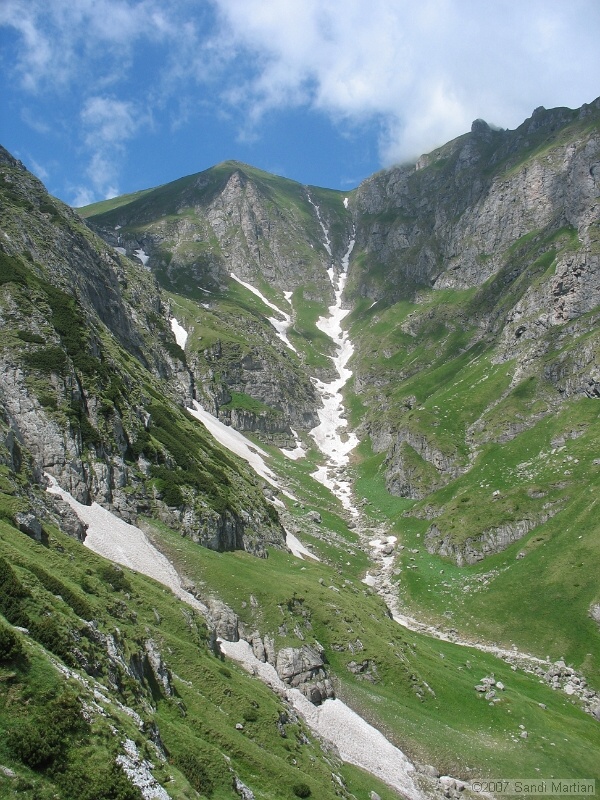 IMG_5888.JPG