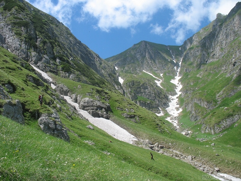 IMG_5889.JPG