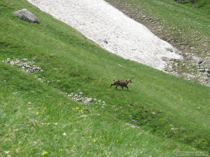 IMG_5894.JPG
