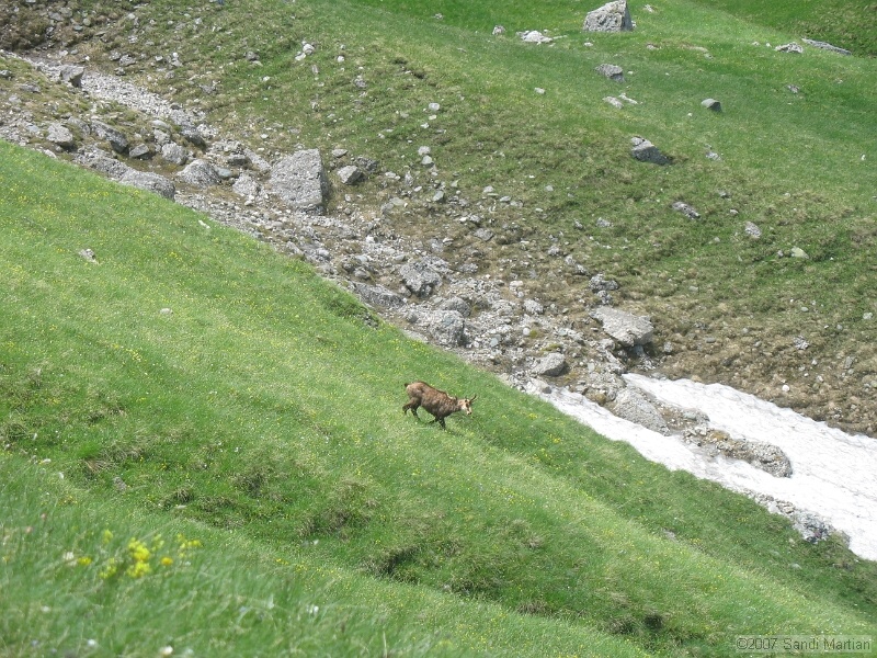 IMG_5897.JPG