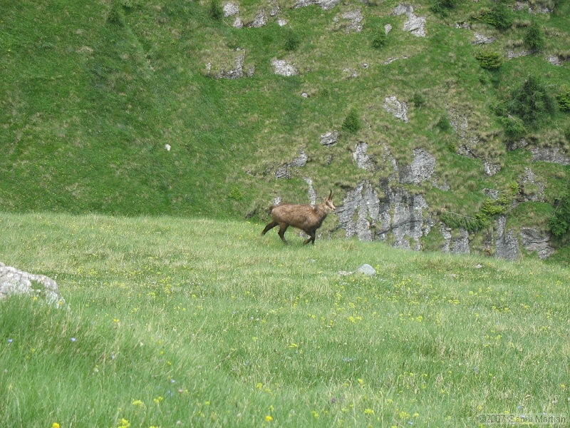 IMG_5902.JPG