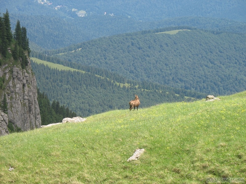 IMG_5906.JPG