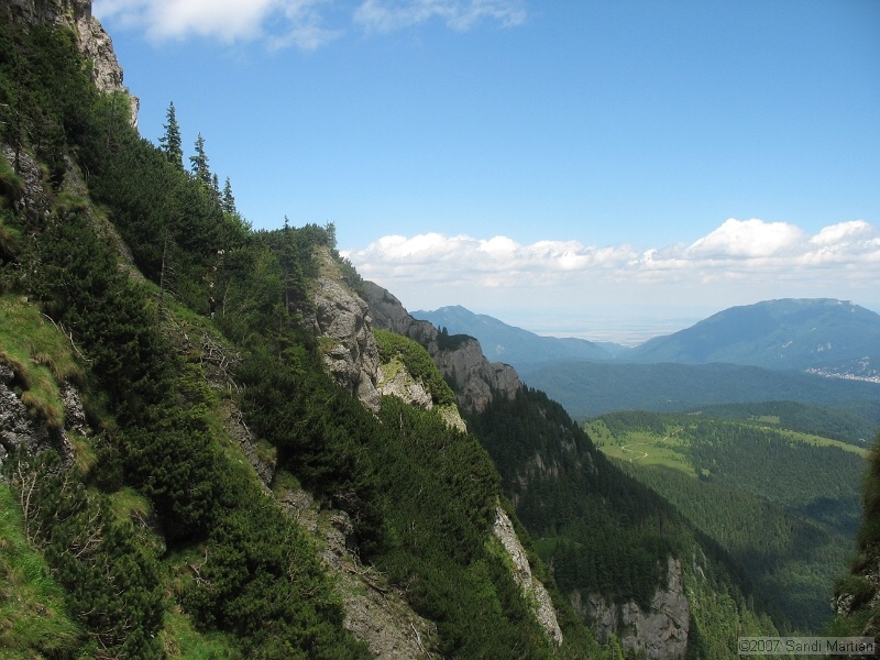 IMG_5911.JPG