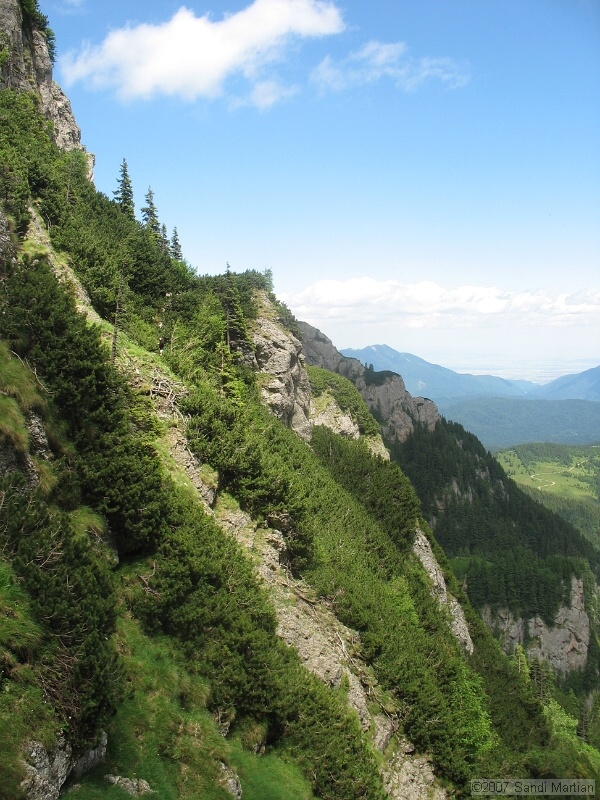 IMG_5912.JPG