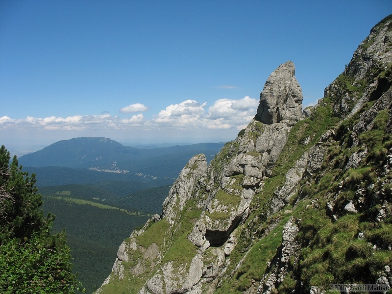 IMG_5921.JPG