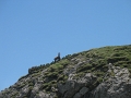 IMG_5881