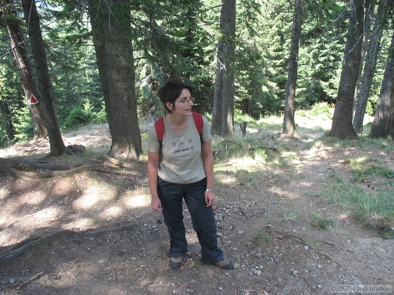 IMG_6407.jpg