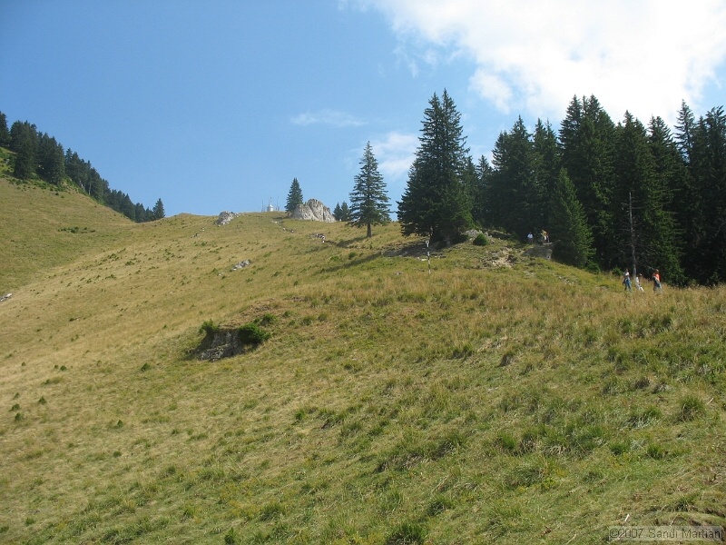 IMG_6409.jpg
