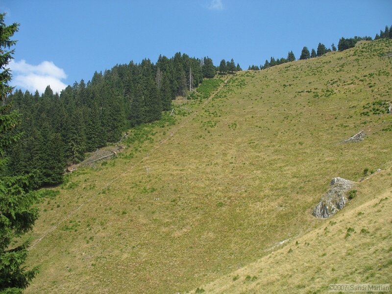 IMG_6410.jpg