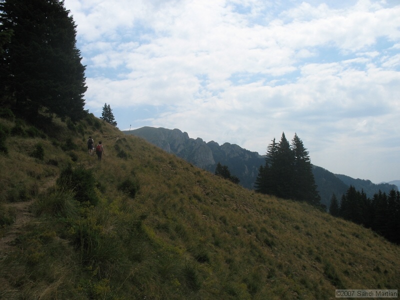 IMG_6421.jpg