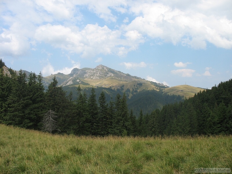 IMG_6422.jpg