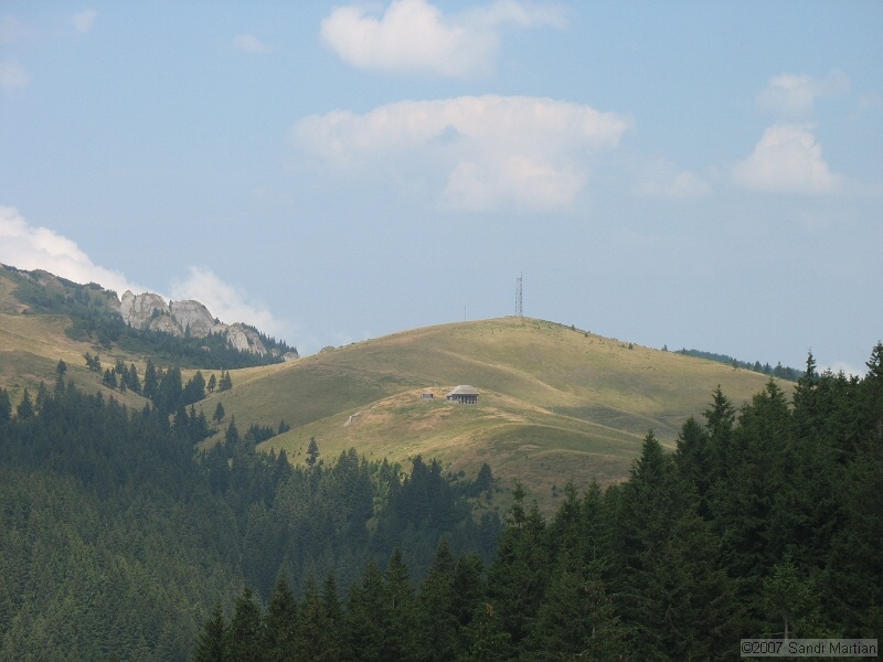 IMG_6423.jpg