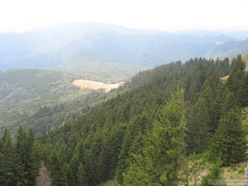 IMG_6428.jpg