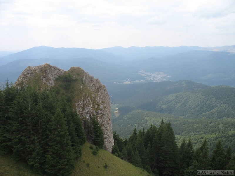 IMG_6429.jpg