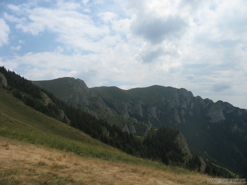 IMG_6430.jpg
